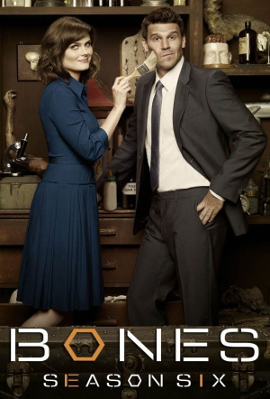 Poster for Bones: Season 6