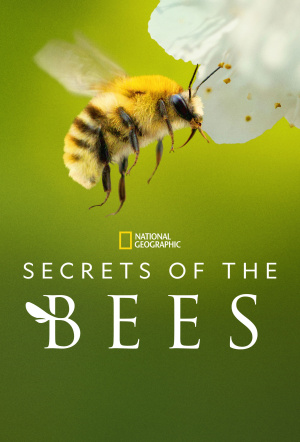 Poster for Secrets of the Bees: Miniseries