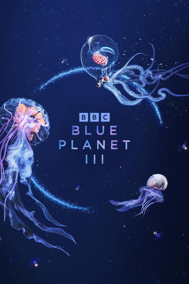 Blue Planet: Season 3 | Where to watch streaming and online in New ...